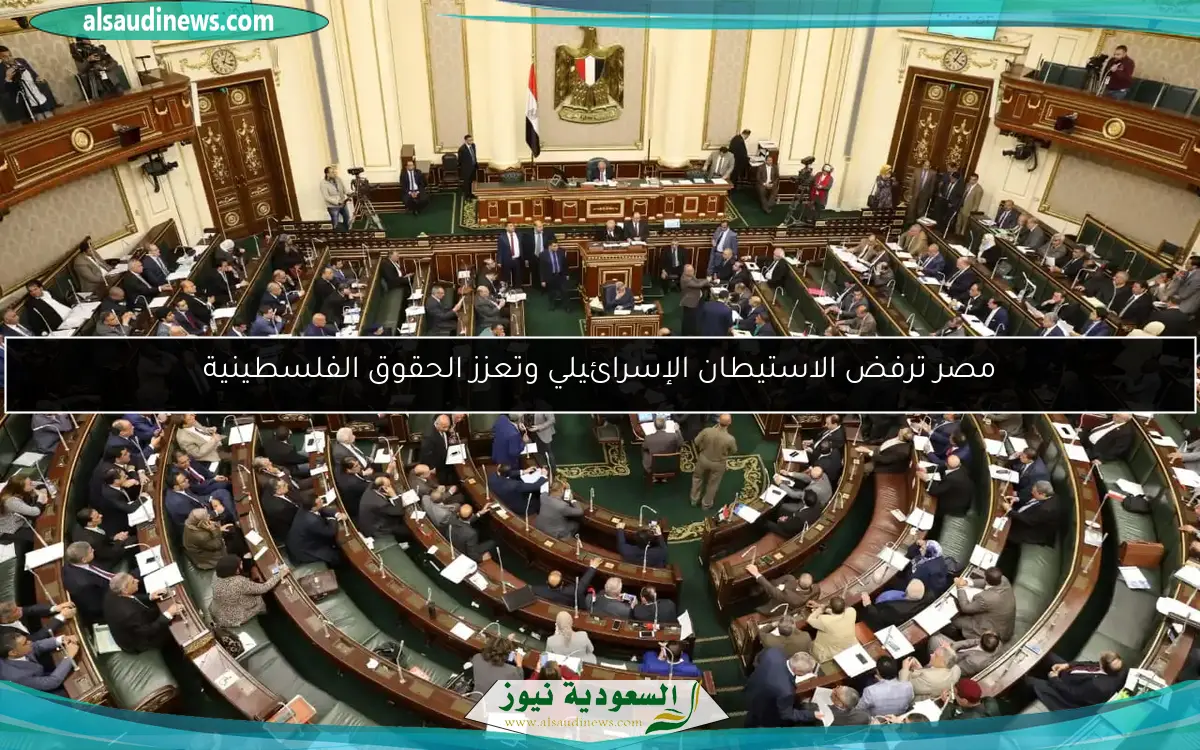 مصر ترفض الاستيطان الإسرائيلي وتعزز الحقوق الفلسطينية