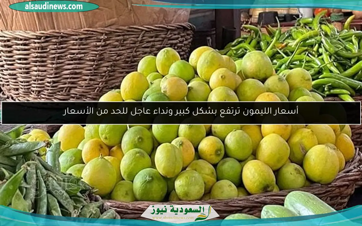 أسعار الليمون ترتفع بشكل كبير ونداء عاجل للحد من الأسعار
