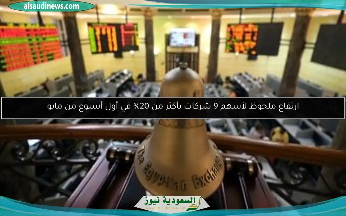 ارتفاع ملحوظ لأسهم 9 شركات بأكثر من 20% في أول أسبوع من مايو