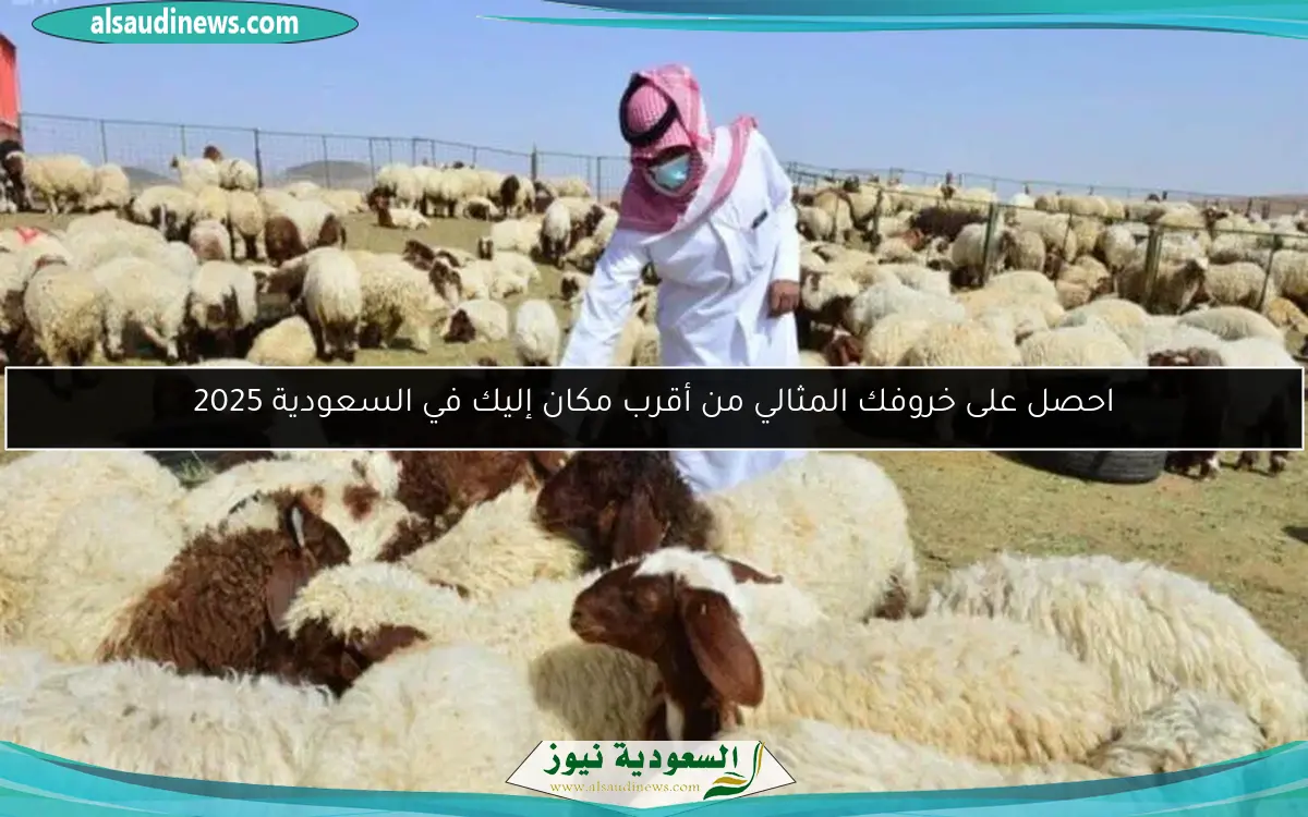 احصل على خروفك المثالي من أقرب مكان إليك في السعودية 2025
