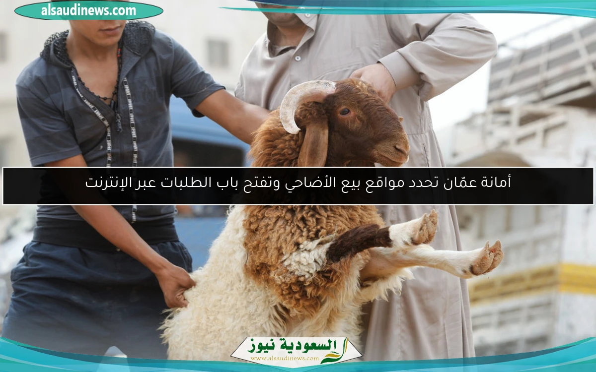 أمانة عمّان تحدد مواقع بيع الأضاحي وتفتح باب الطلبات عبر الإنترنت