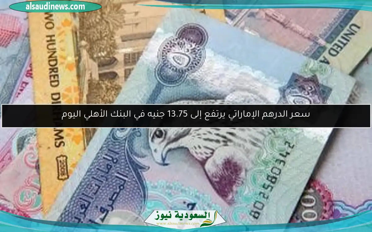 سعر الدرهم الإماراتي يرتفع إلى 13.75 جنيه في البنك الأهلي اليوم