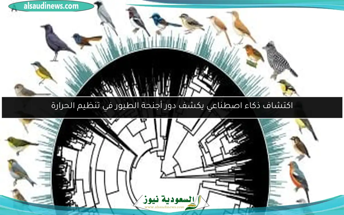 اكتشاف ذكاء اصطناعي يكشف دور أجنحة الطيور في تنظيم الحرارة