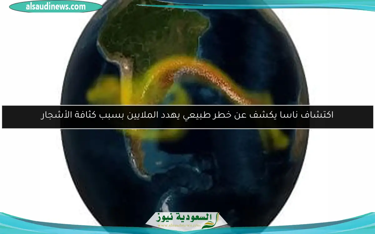 اكتشاف ناسا يكشف عن خطر طبيعي يهدد الملايين بسبب كثافة الأشجار