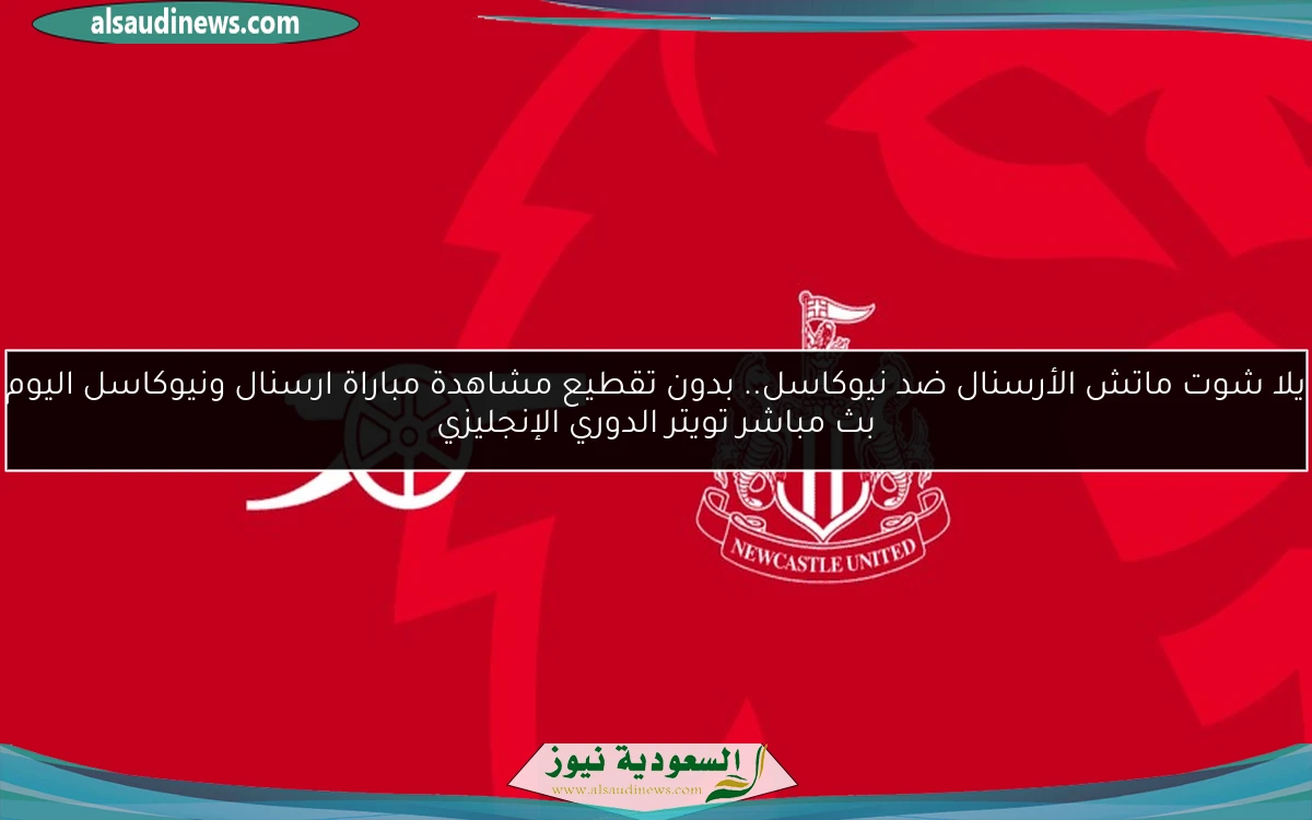 فوز الأرسنال ضد نيوكاسل.. نتيجة مباراة ارسنال ونيوكاسل اليوم الدوري الإنجليزي