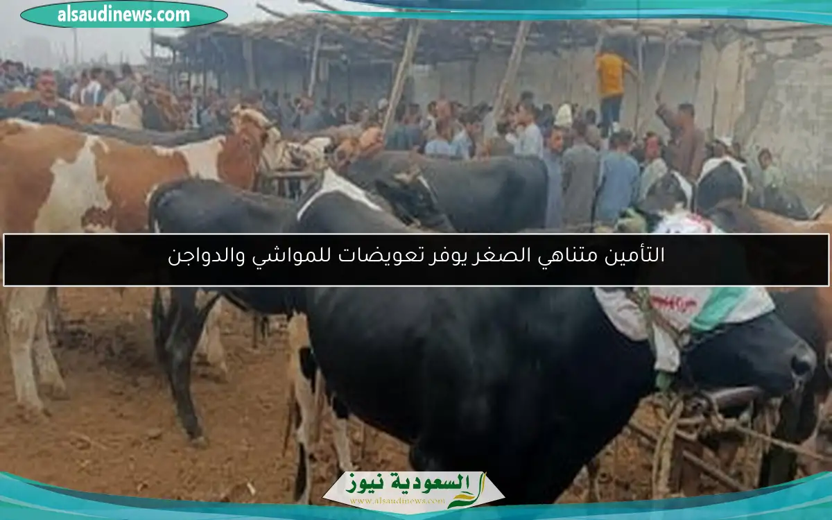 التأمين متناهي الصغر يوفر تعويضات للمواشي والدواجن