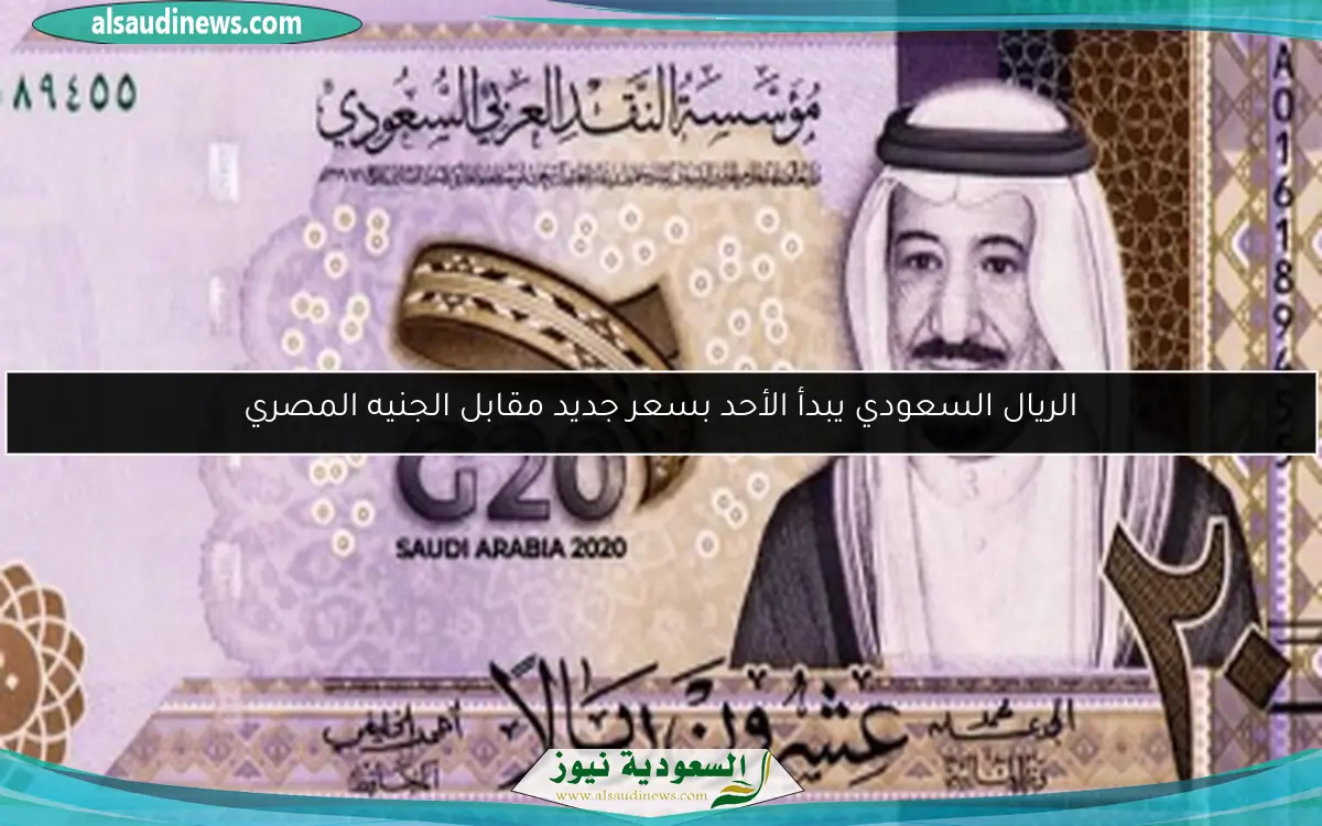 الريال السعودي يبدأ الأحد بسعر جديد مقابل الجنيه المصري