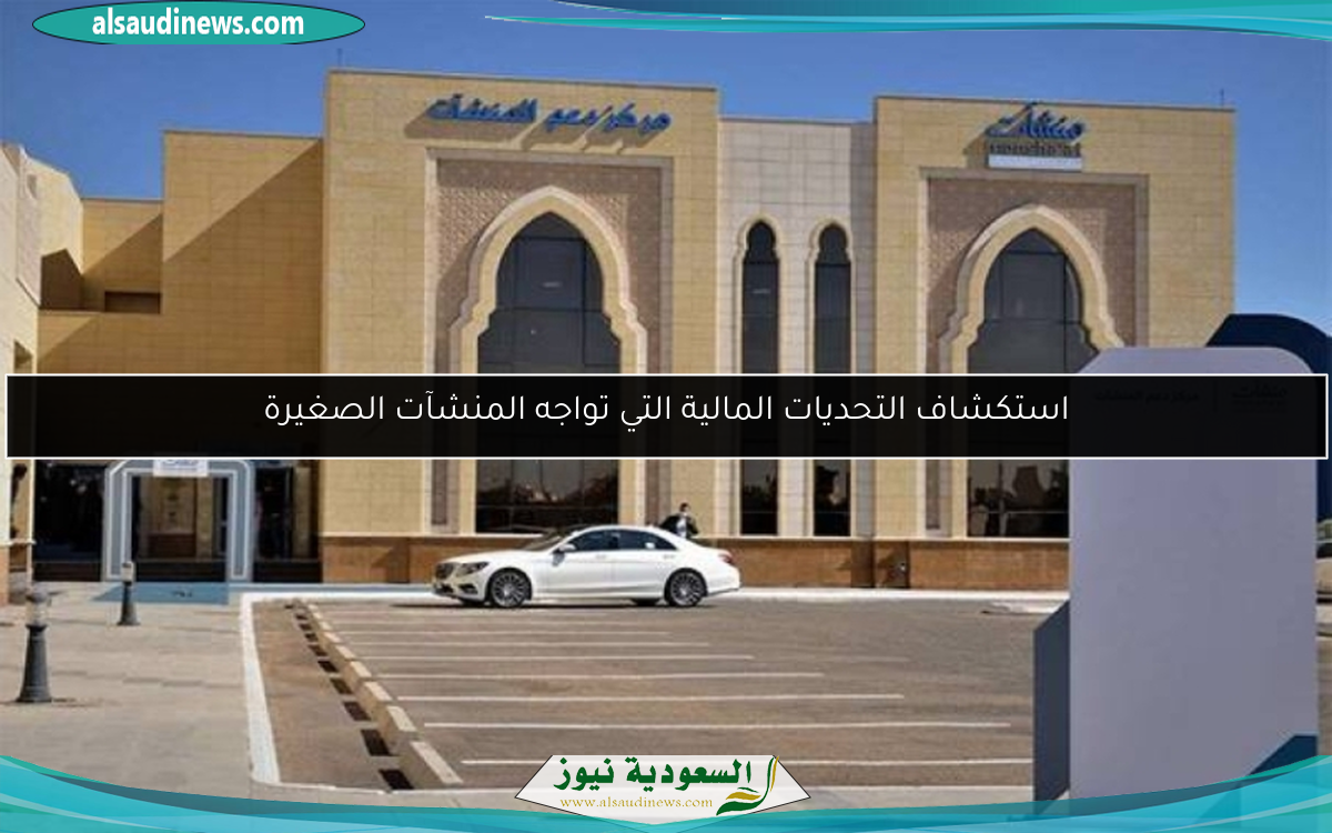 استكشاف التحديات المالية التي تواجه المنشآت الصغيرة
