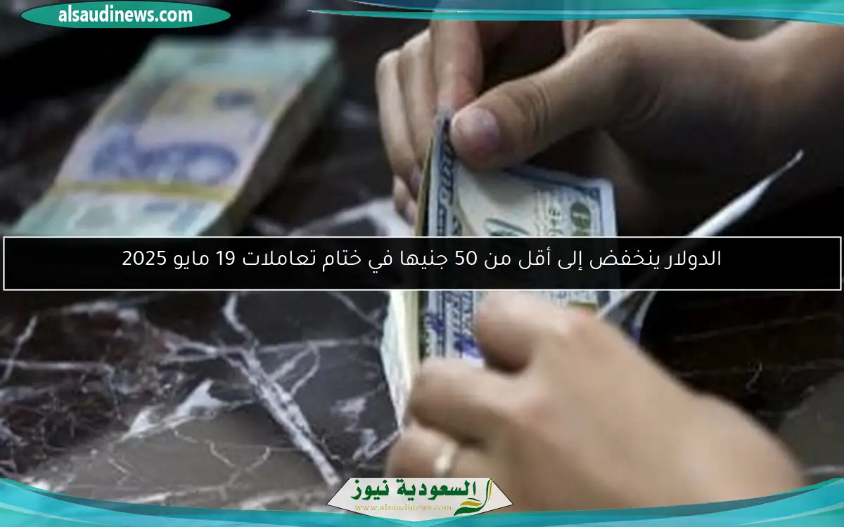 الدولار ينخفض إلى أقل من 50 جنيها في ختام تعاملات 19 مايو 2025