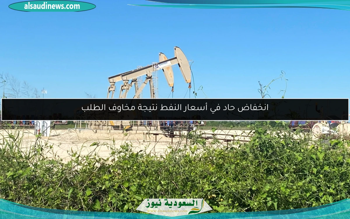 انخفاض حاد في أسعار النفط نتيجة مخاوف الطلب