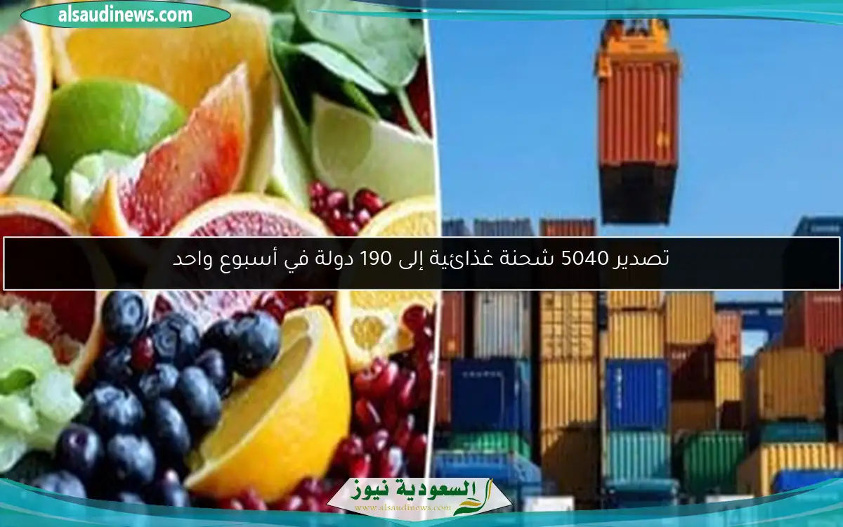 تصدير 5040 شحنة غذائية إلى 190 دولة في أسبوع واحد