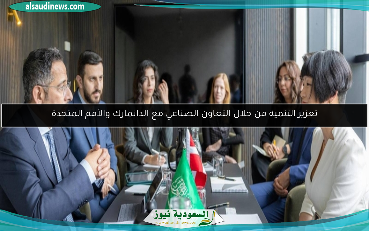 تعزيز التنمية من خلال التعاون الصناعي مع الدانمارك والأمم المتحدة