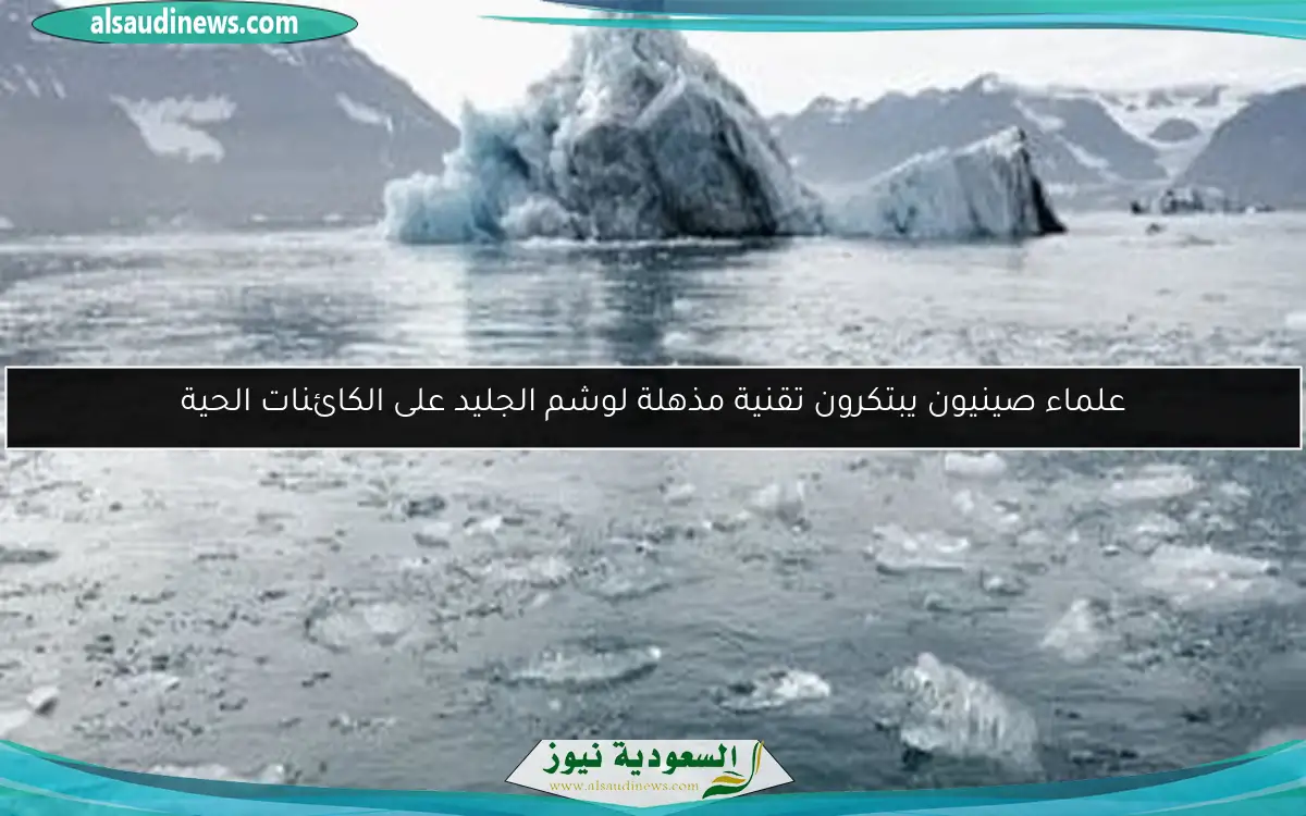 علماء صينيون يبتكرون تقنية مذهلة لوشم الجليد على الكائنات الحية