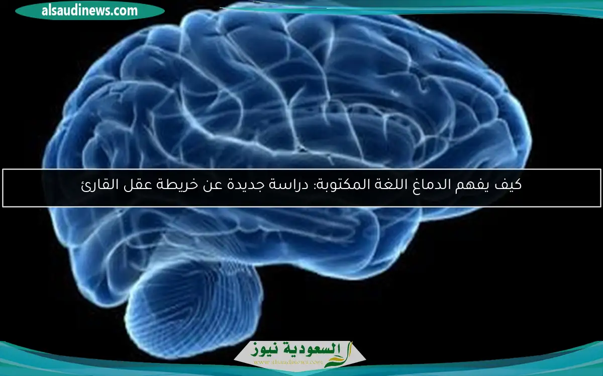 كيف يفهم الدماغ اللغة المكتوبة: دراسة جديدة عن خريطة عقل القارئ
