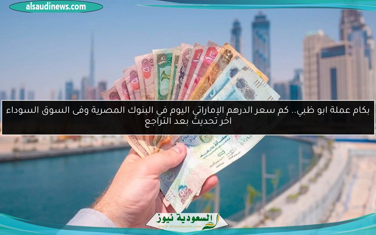 بكام عملة ابو ظبي.. كم سعر الدرهم الإماراتي اليوم في البنوك المصرية وفى السوق السوداء اخر تحديث بعد التراجع