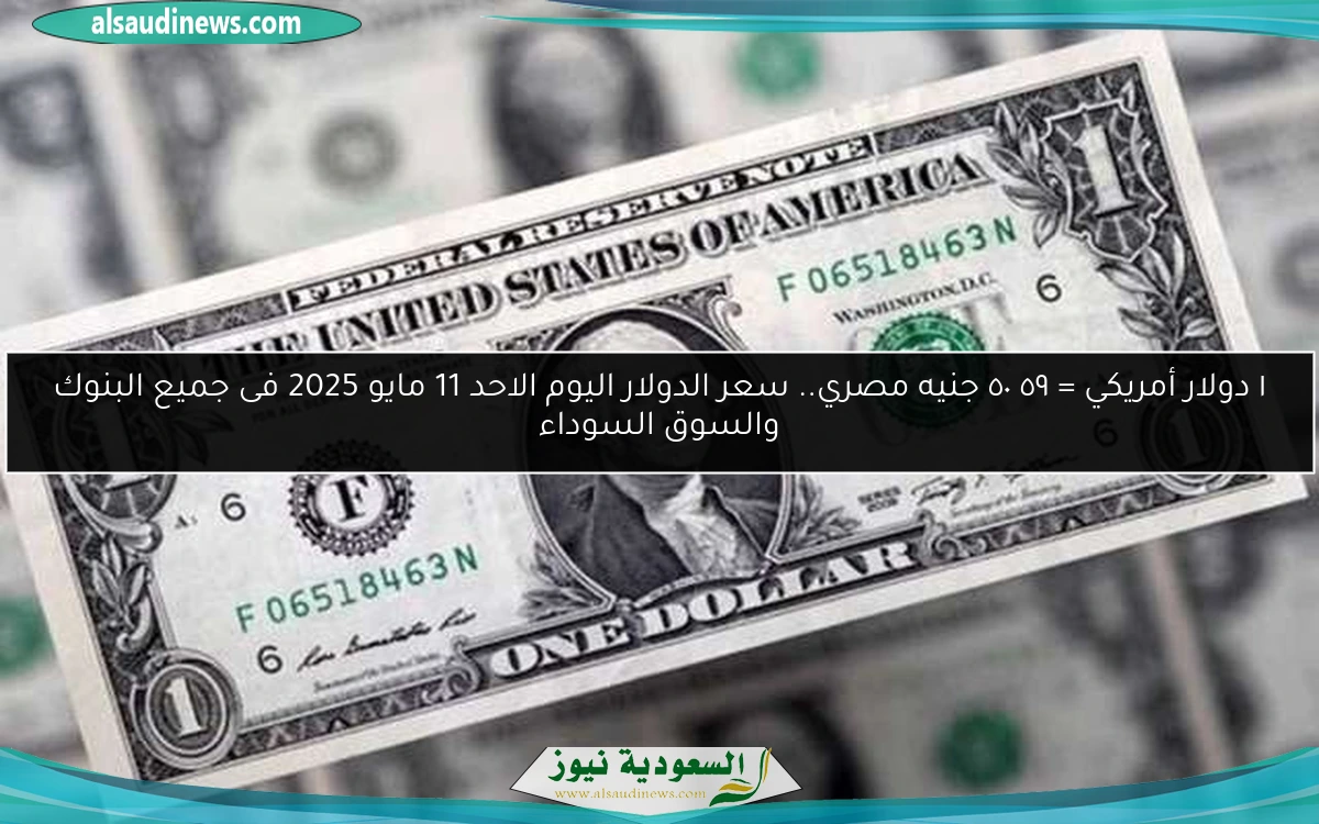 ١ دولار أمريكي = ٥٠٫٥٩ جنيه مصري.. سعر الدولار اليوم الاحد 11 مايو 2025 فى جميع البنوك والسوق السوداء