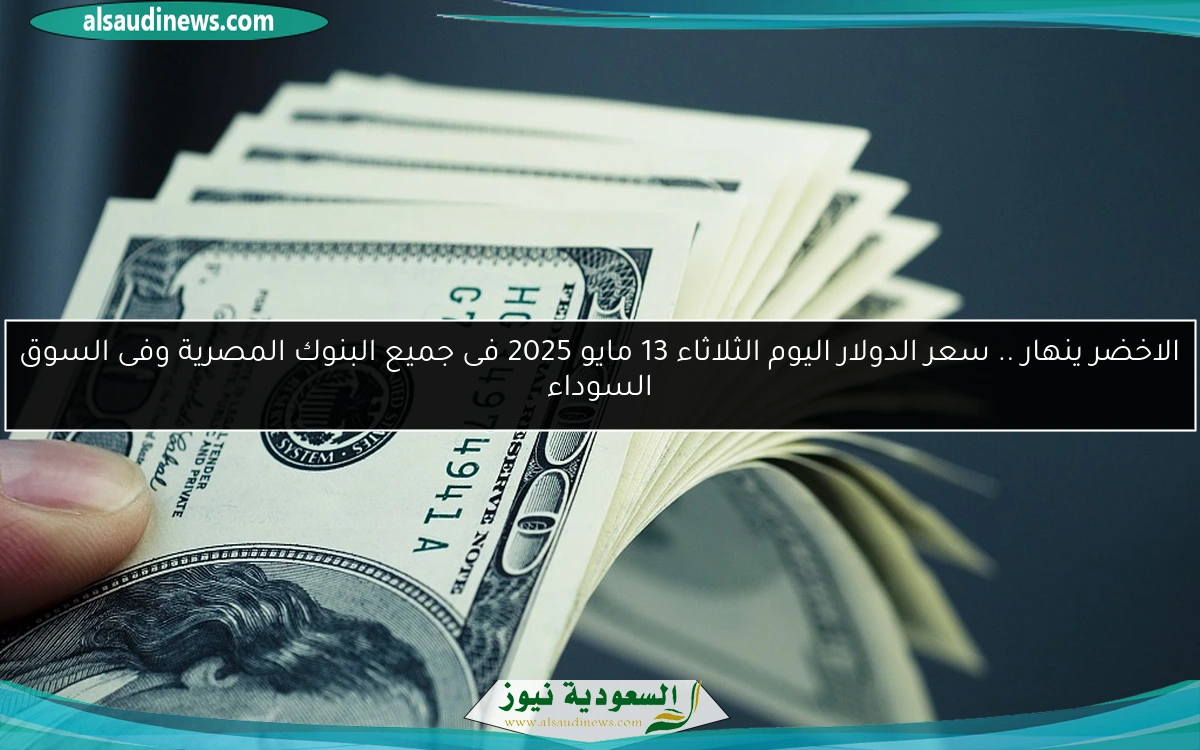 الاخضر ينهار .. سعر الدولار اليوم الثلاثاء 13 مايو 2025 فى جميع البنوك المصرية وفى السوق السوداء