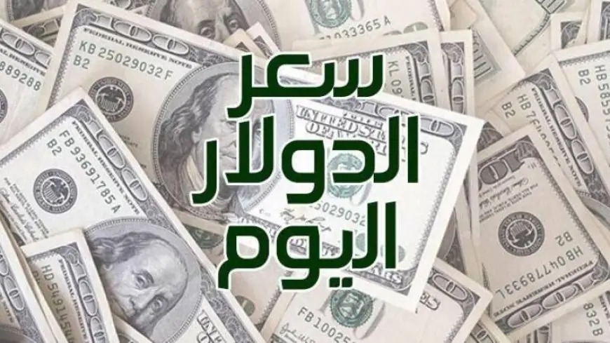 1 دولار كم في السوق السوداء؟ .. سعر الدولار اليوم مقابل الجنية المصري فى جميع البنوك اخر تحديث