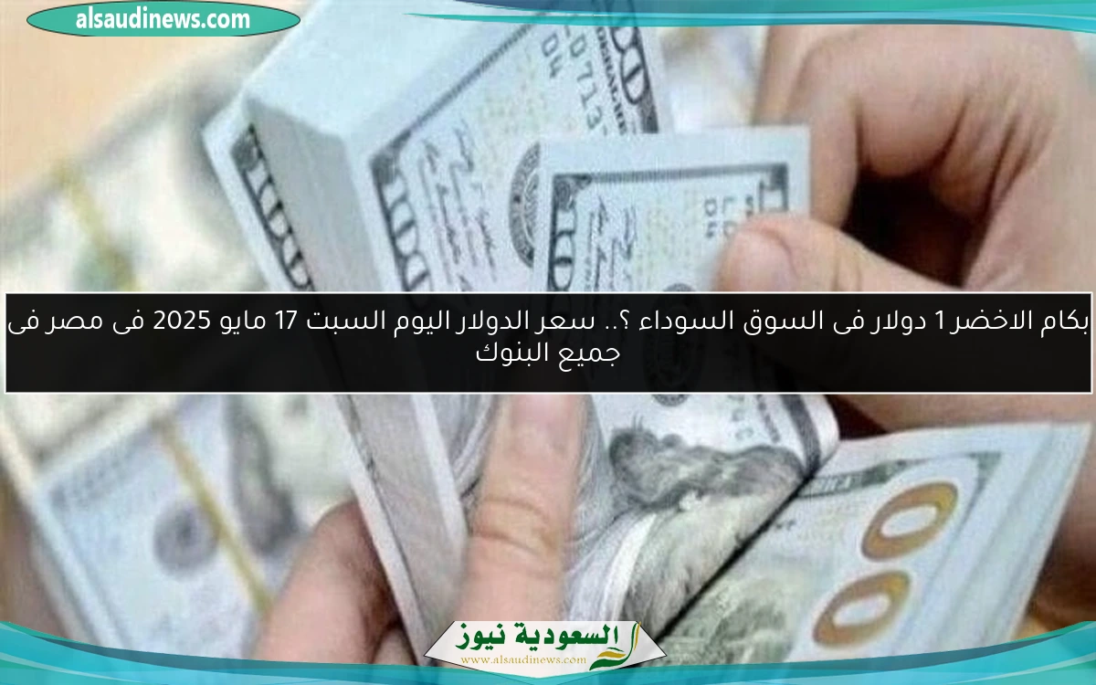 بكام الاخضر 1 دولار فى السوق السوداء ؟.. سعر الدولار اليوم السبت 17 مايو 2025 فى مصر فى جميع البنوك