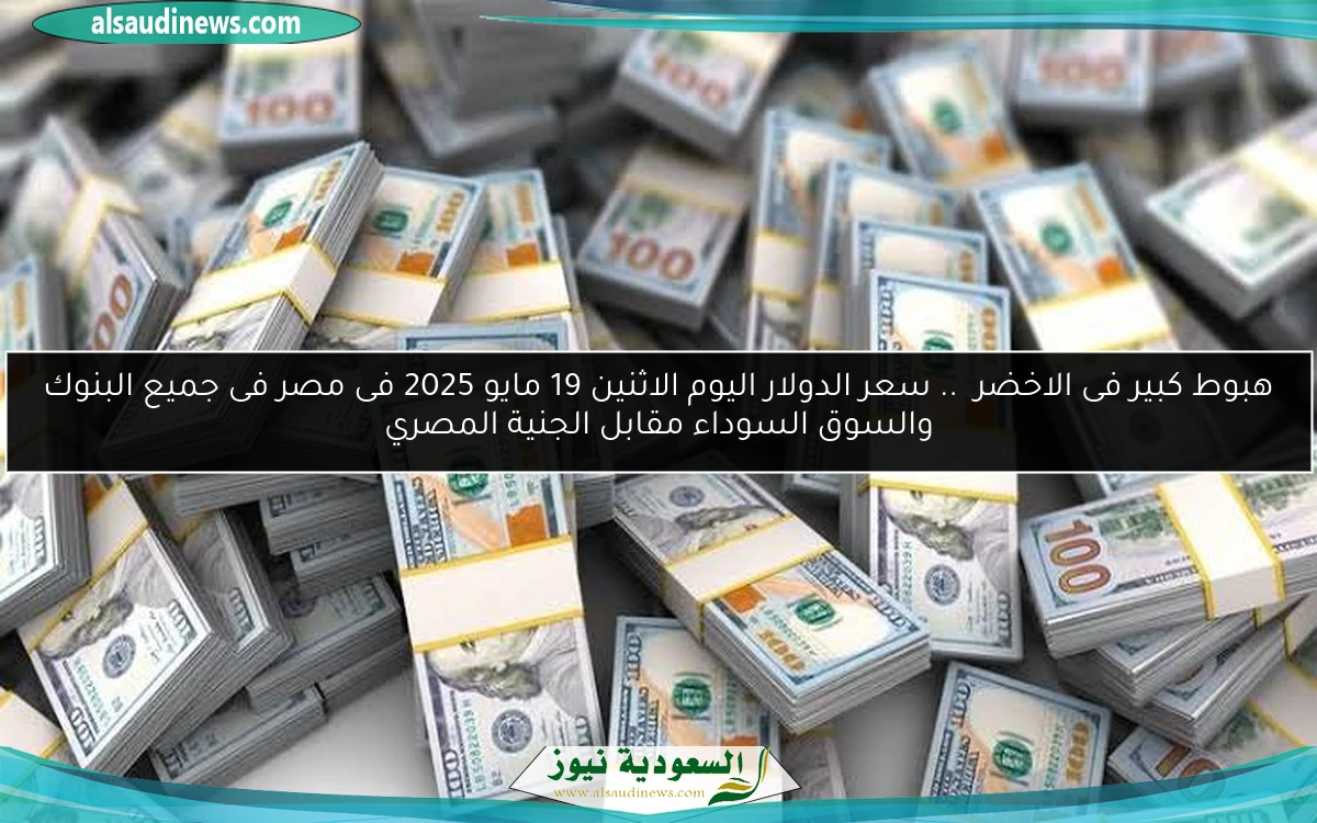 هبوط كبير فى الاخضر .. سعر الدولار اليوم الاثنين 19 مايو 2025 فى مصر فى جميع البنوك والسوق السوداء مقابل الجنية المصري