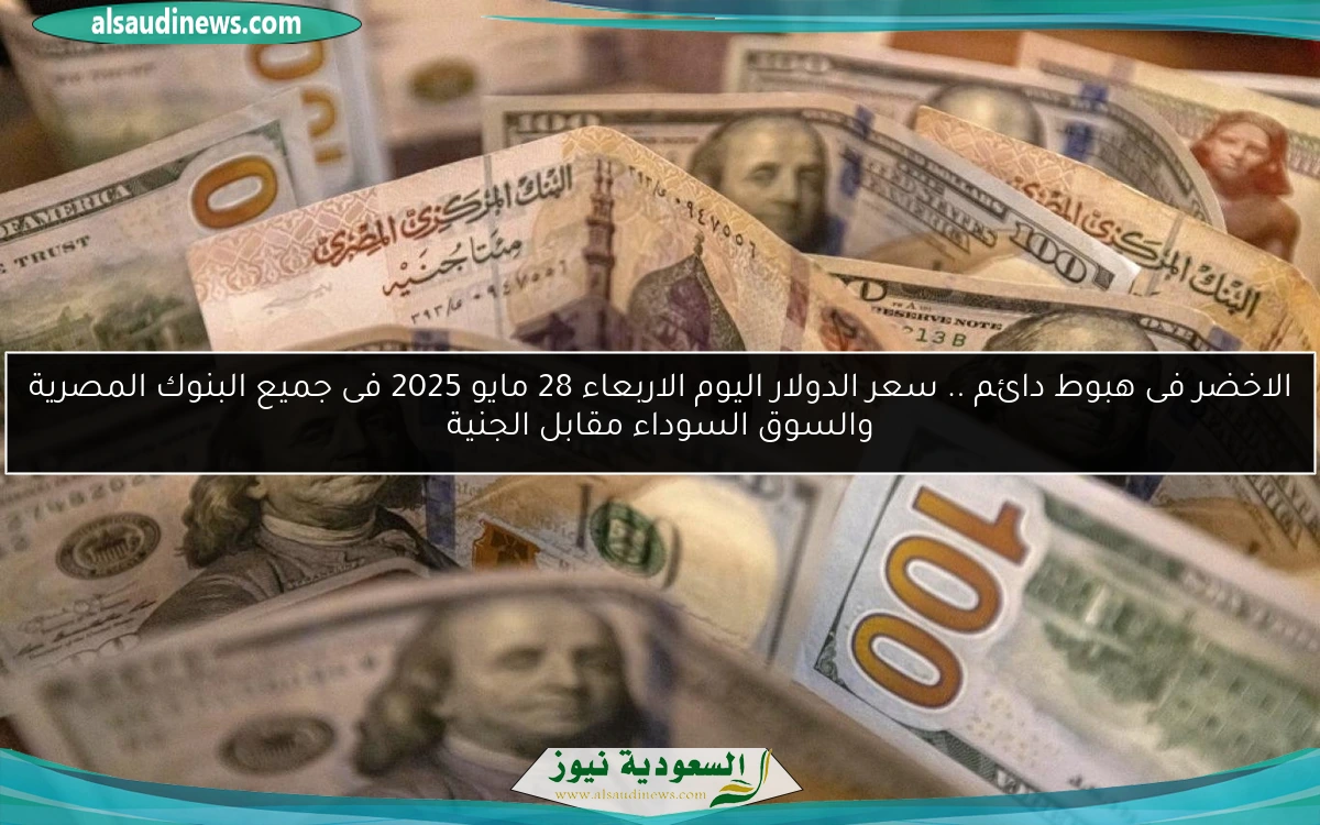 الاخضر فى هبوط دائم .. سعر الدولار اليوم الاربعاء 28 مايو 2025 فى جميع البنوك المصرية والسوق السوداء مقابل الجنية