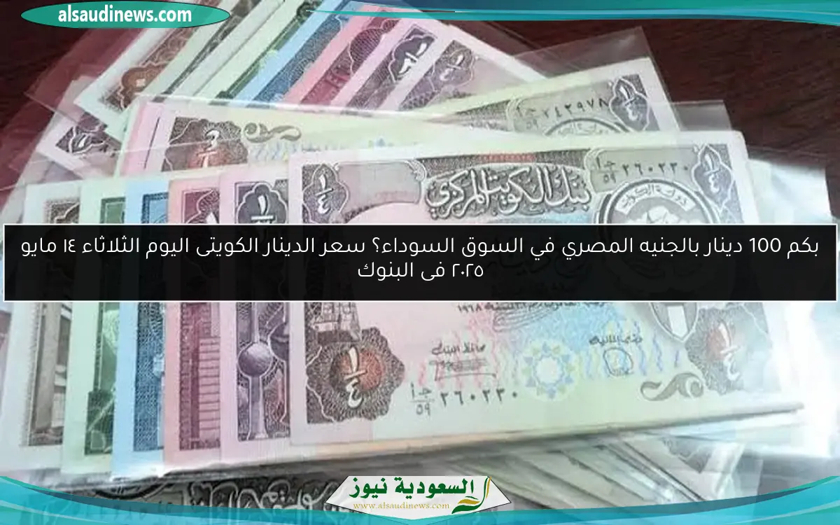 بكم 100 دينار بالجنيه المصري في السوق السوداء؟ سعر الدينار الكويتى اليوم الثلاثاء ١٤ مايو ٢٠٢٥ فى البنوك