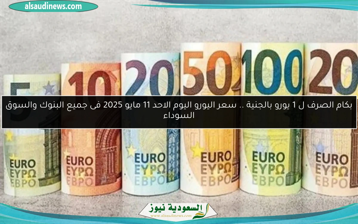 بكام الصرف ل 1 يورو بالجنية .. سعر اليورو اليوم الاحد 11 مايو 2025 فى جميع البنوك والسوق السوداء