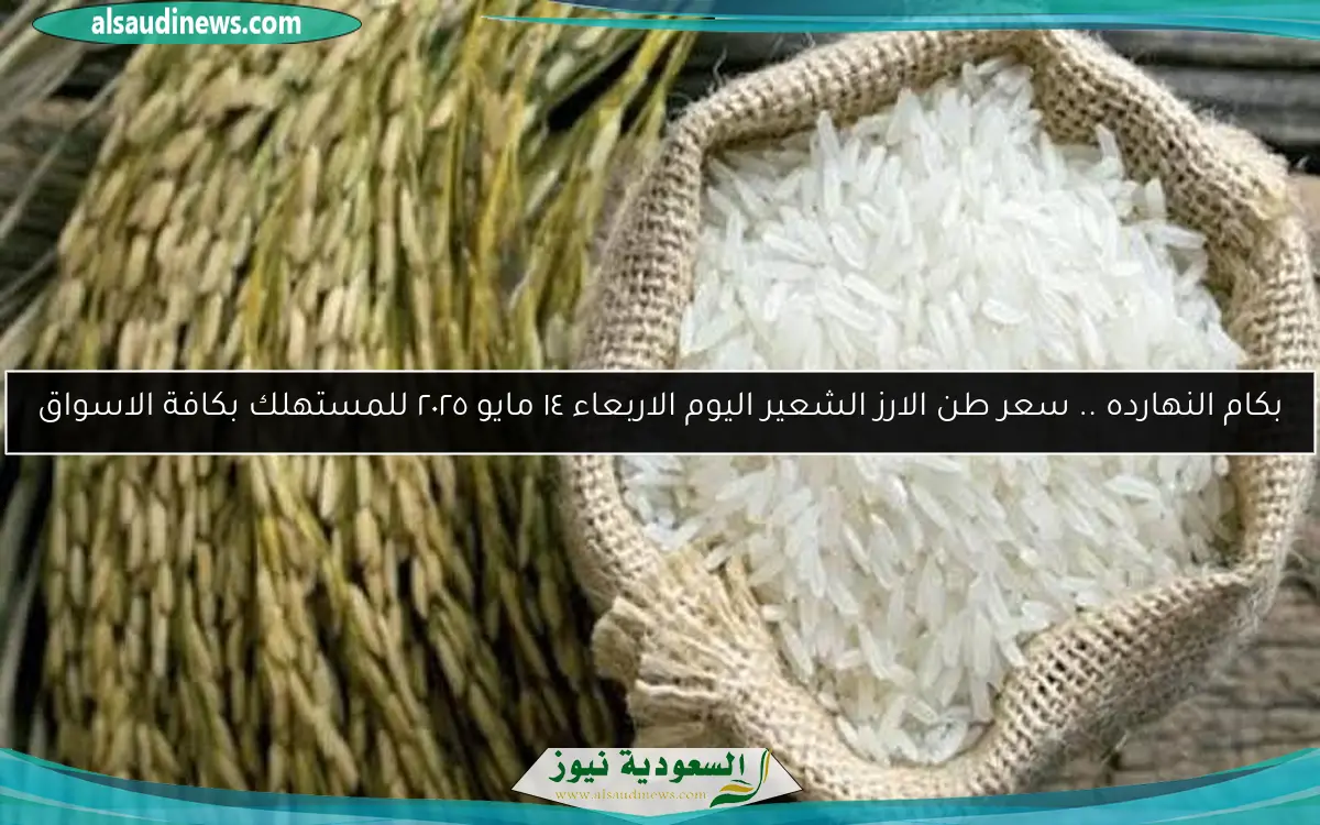 بكام النهارده .. سعر طن الارز الشعير اليوم الاربعاء ١٤ مايو ٢٠٢٥ للمستهلك بكافة الاسواق