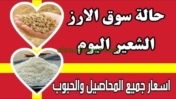 “الرفيع والعريض الحبة” .. سعر طن الارز الشعير اليوم 5-5-2025 فى الاسواق للمستهلك