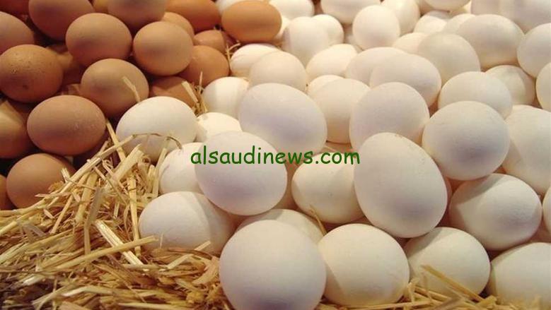 بكام الكرتونة النهاردة ؟.. سعر كرتونة البيض اليوم الاثنين 5-5-2025 فى المزارع والاسواق