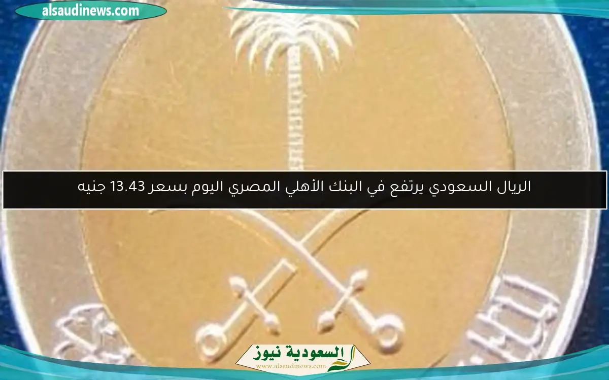 الريال السعودي يرتفع في البنك الأهلي المصري اليوم بسعر 13.43 جنيه