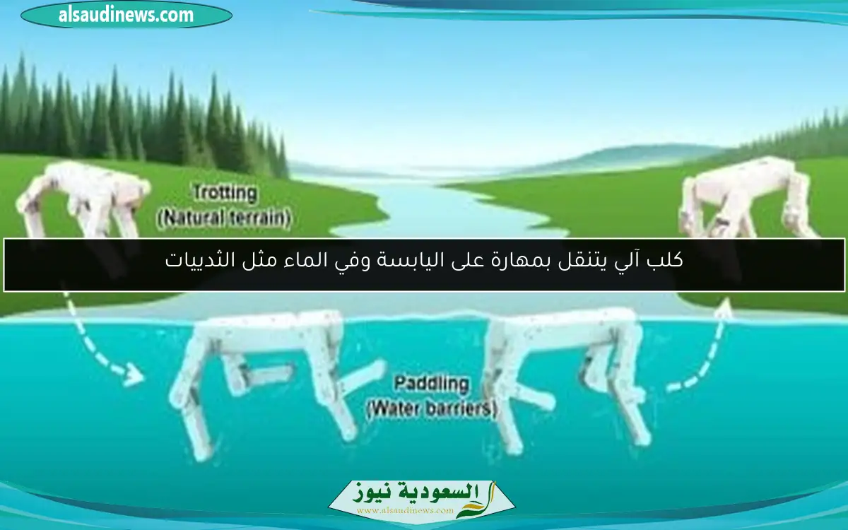 كلب آلي يتنقل بمهارة على اليابسة وفي الماء مثل الثدييات
