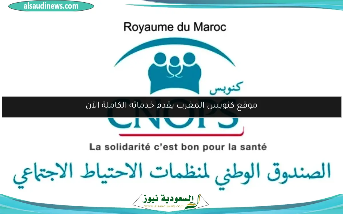 موقع كنوبس المغرب يقدم خدماته الكاملة الآن