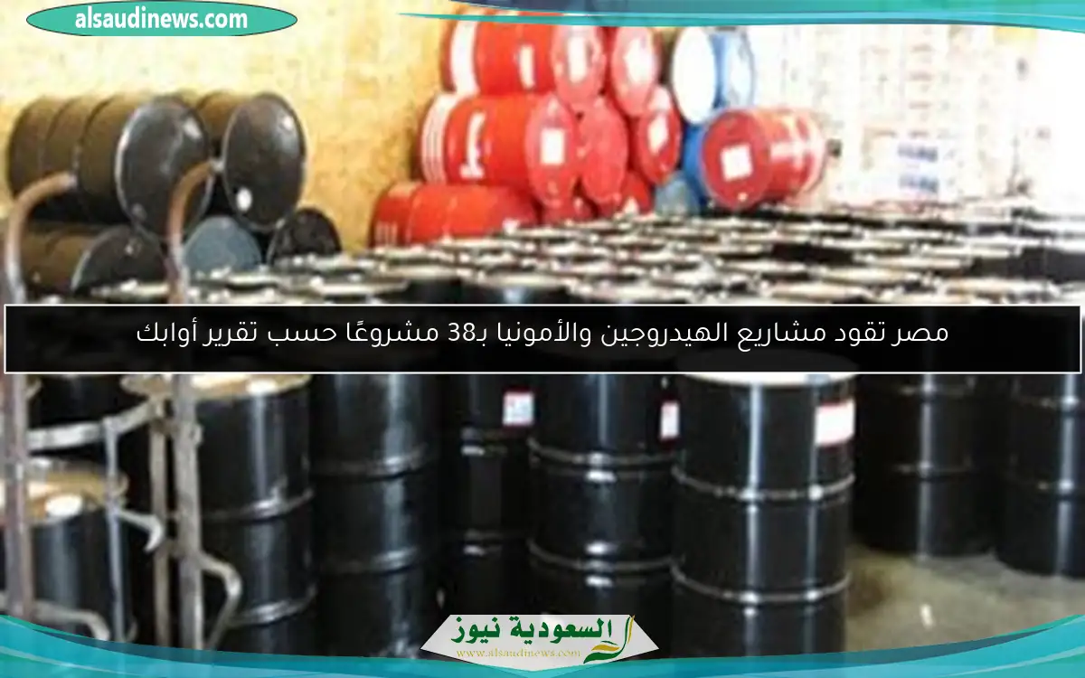 مصر تقود مشاريع الهيدروجين والأمونيا بـ38 مشروعًا حسب تقرير أوابك