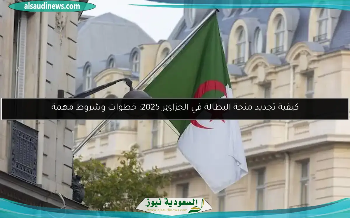 كيفية تجديد منحة البطالة في الجزائر 2025: خطوات وشروط مهمة
