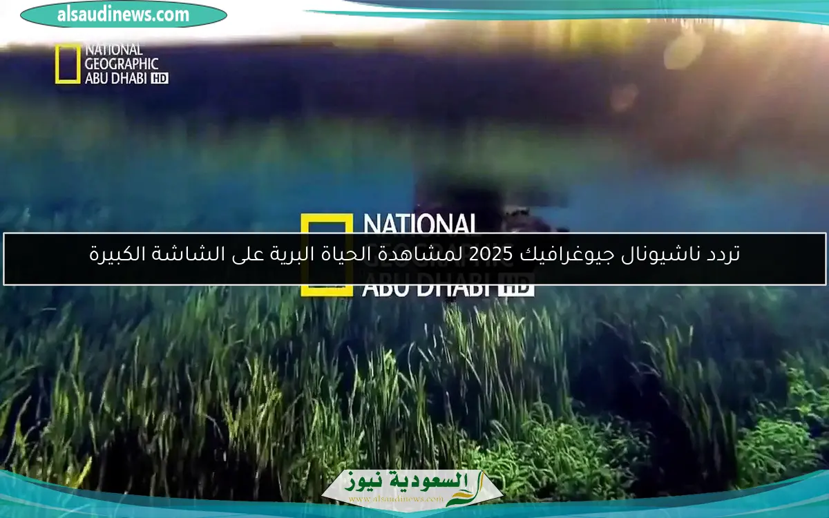 تردد ناشيونال جيوغرافيك 2025 لمشاهدة الحياة البرية على الشاشة الكبيرة