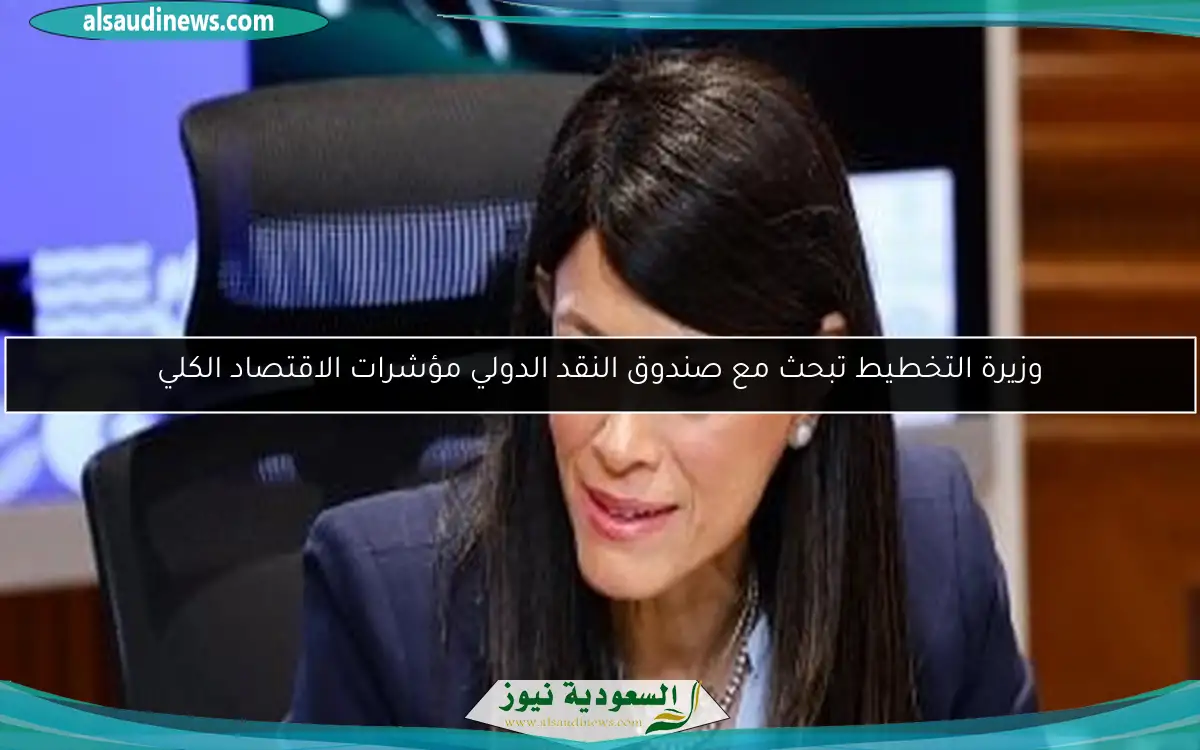 وزيرة التخطيط تبحث مع صندوق النقد الدولي مؤشرات الاقتصاد الكلي