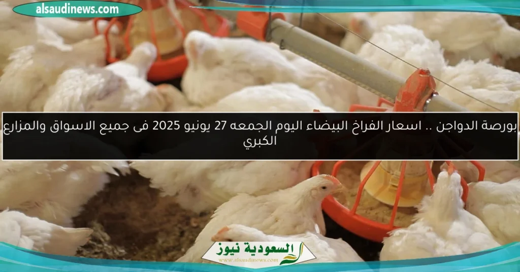 بورصة الدواجن اسعار الفراخ البيضاء اليوم
