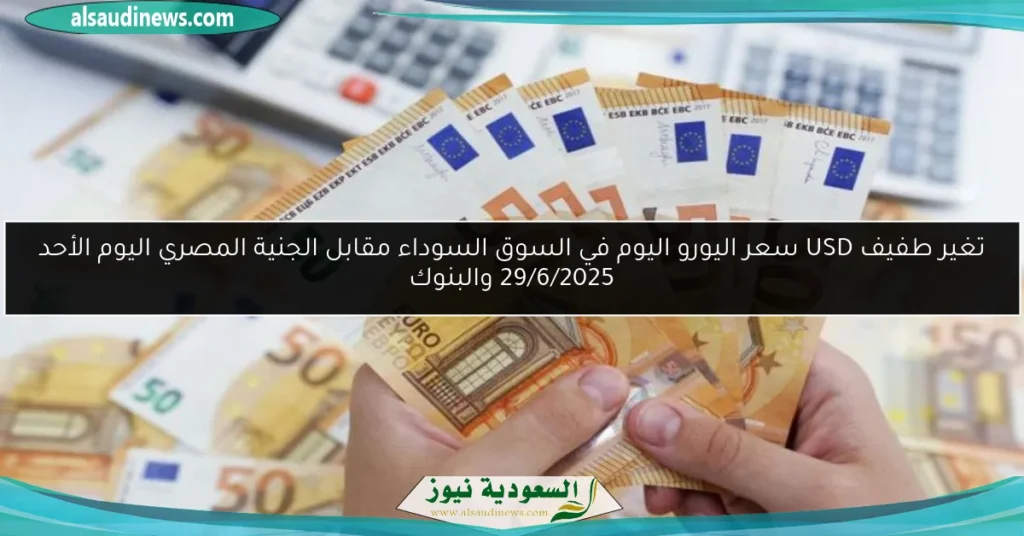 سعر اليورو اليوم في السو السوداء
