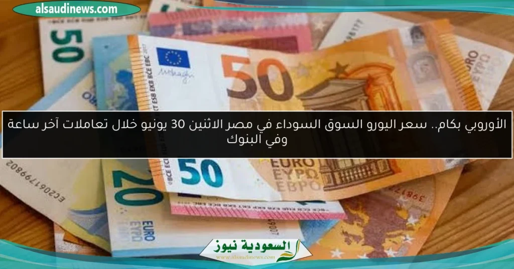 سعر اليورو اليوم