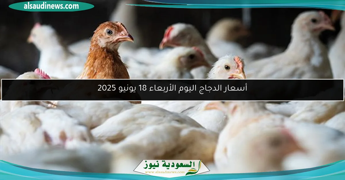 أسعار الدجاج اليوم الأربعاء 18 يونيو 2025