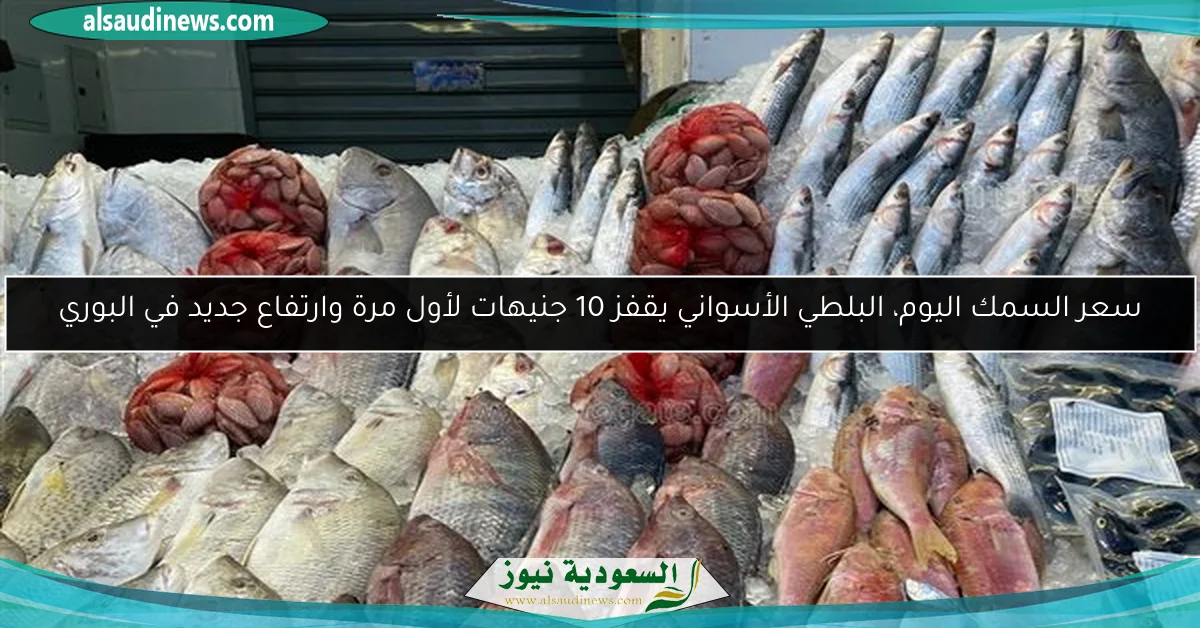 سعر السمك اليوم، البلطي الأسواني يقفز 10 جنيهات لأول مرة وارتفاع جديد في البوري