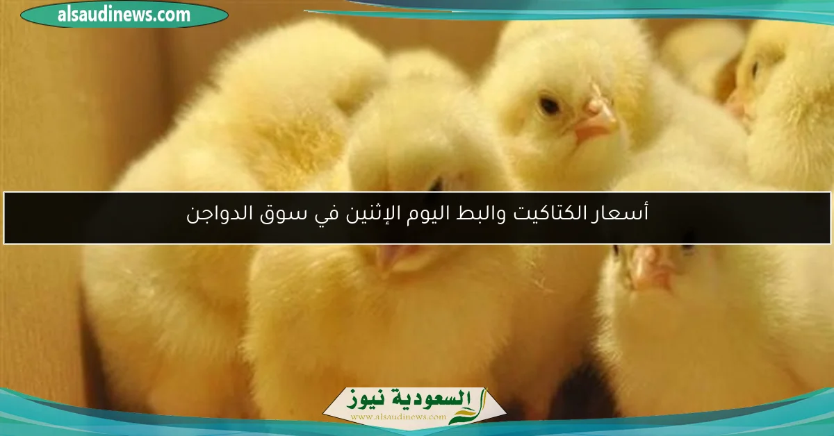 أسعار الكتاكيت والبط اليوم الإثنين في سوق الدواجن