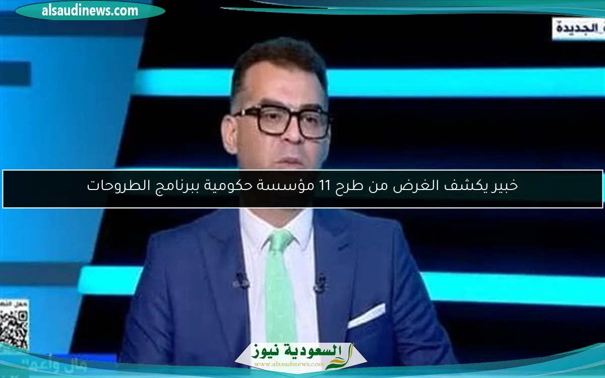 خبير يكشف الغرض من طرح 11 مؤسسة حكومية ببرنامج الطروحات