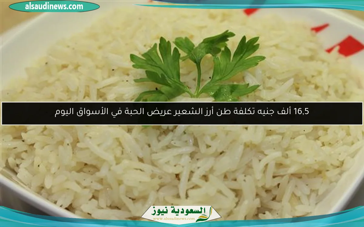 سعر الفاكهة اليوم، ارتفاع ملحوظ في البرقوق والخوخ والعنب الأحمر