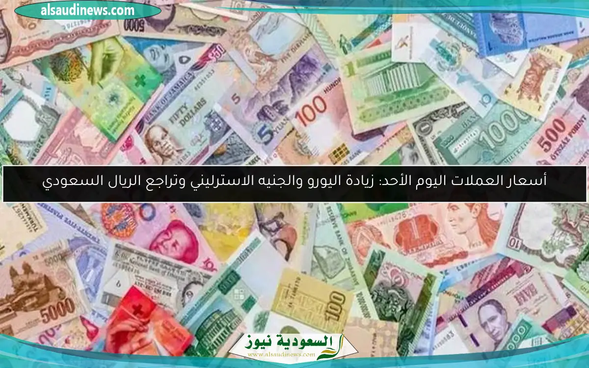 أسعار العملات اليوم الأحد: زيادة اليورو والجنيه الاسترليني وتراجع الريال السعودي