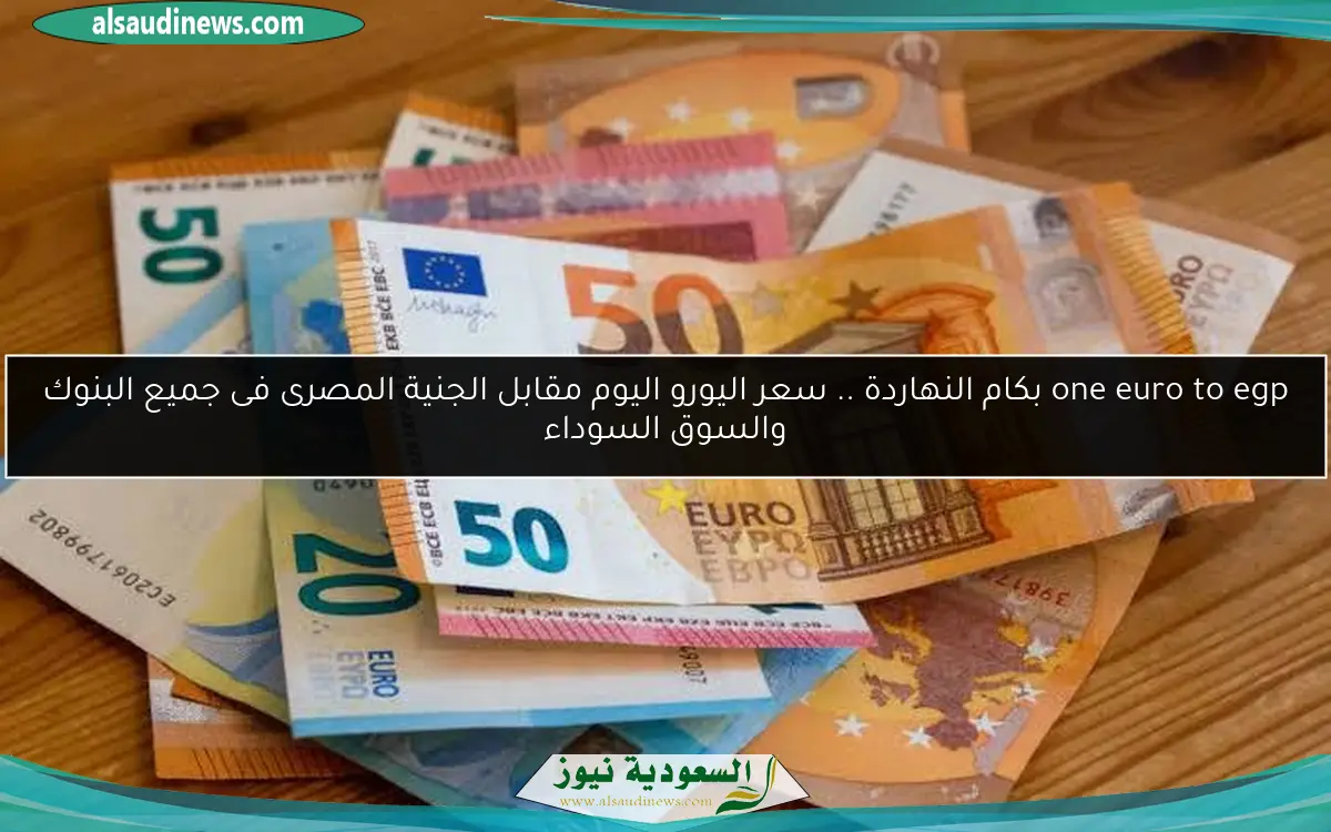 one euro to egp بكام النهاردة .. سعر اليورو اليوم مقابل الجنية المصرى فى جميع البنوك والسوق السوداء