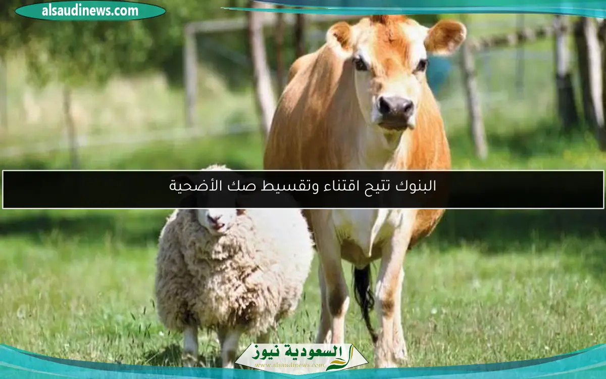 البنوك تتيح اقتناء وتقسيط صك الأضحية