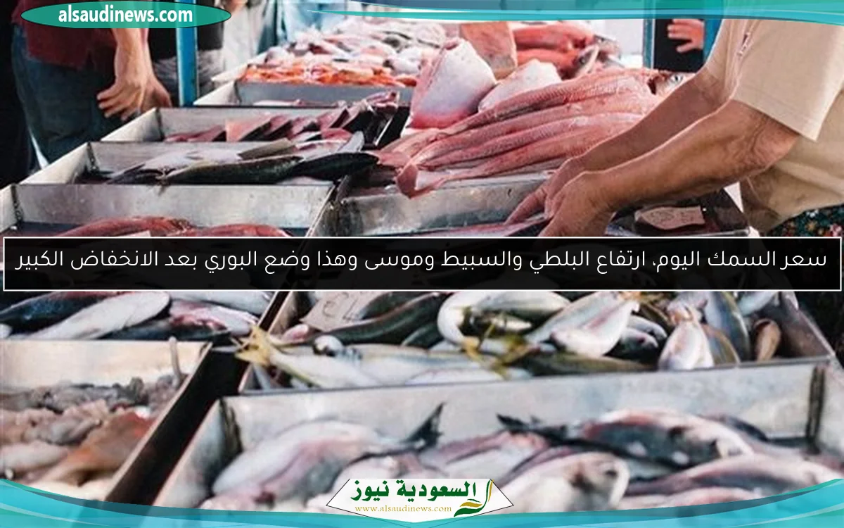 سعر السمك اليوم، ارتفاع البلطي والسبيط وموسى وهذا وضع البوري بعد الانخفاض الكبير