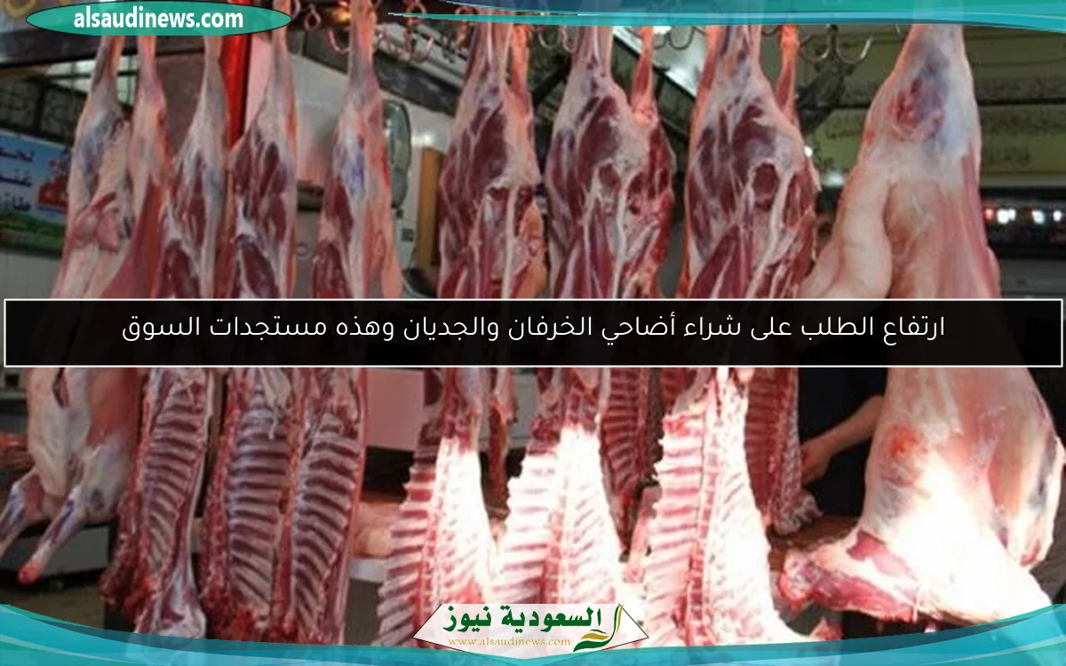 ارتفاع الطلب على شراء أضاحي الخرفان والجديان وهذه مستجدات السوق